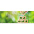 blog post image